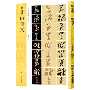 甲骨文(原碑帖+技法教程) 新书谱中国书法基础教程 高清原碑帖+笔画技法+章法结构+集字创作入门临摹教材甲骨文毛笔书法字帖临摹本