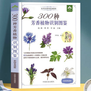 300种芳香植物识别图鉴 彩图典藏版 芳香植物基础知识和鉴别技巧科普读物 植物学书籍 云南省农业科学院花卉研究所 中国农业出版社