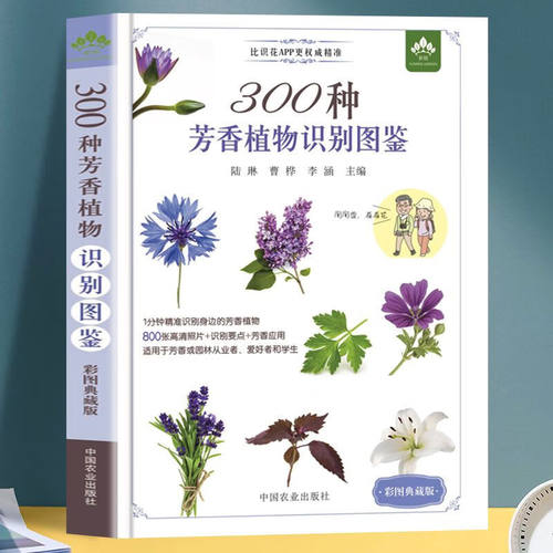 300种芳香植物识别图鉴 彩图典藏版 芳香植物基础知识和鉴别技巧科普读物 植物学书籍 云南省农业科学院花卉研究所 中国农业出版社