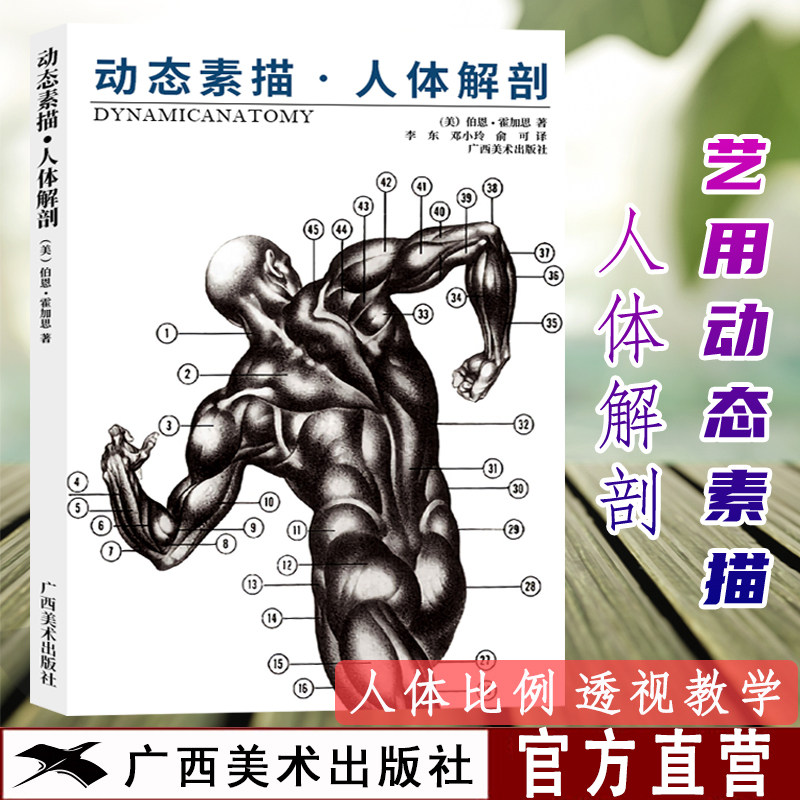 动态素描 人体解剖 理解人体形态 人体骨骼肌肉解剖实用人体素描速写 艺用人体结构临摹人物技法基础教程 铅笔漫画素描基础教程书