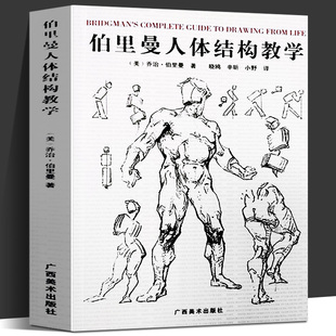 正版 伯里曼人体结构教学32开本 理解人体形态人物绘画素描大师速写临摹鉴赏基础入门技法教程动漫画手解剖美术艺术艺考生用图书籍