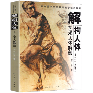 正版288页 解构人体-艺术人体解剖 素描速写绘画人体结构教学孙韬叶南中央美术学院入门基础教材教程临摹骨骼肌肉全身书籍人民美术