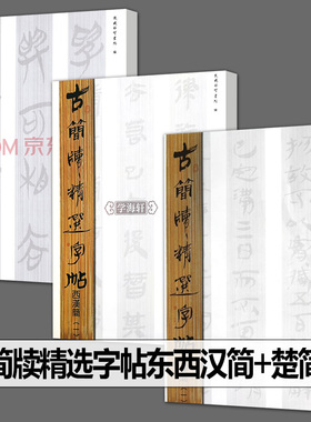 全3册 东汉简+西汉简+楚简北京大学藏秦代简牍书迹选粹古简牍精选字帖精选名迹字帖精编集字研究睡虎地云梦秦简牍编历史文物
