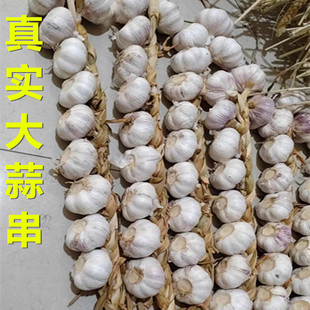 真实大蒜串装饰挂件 大蒜辫农家乐农作物拍摄道具丰收节五谷丰登