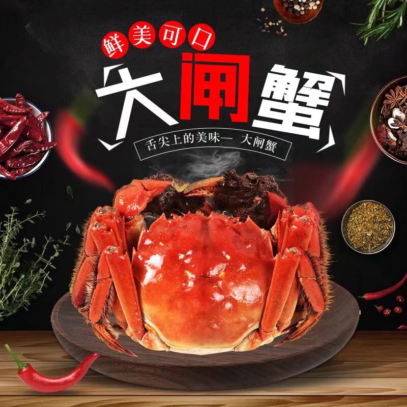 【活蟹】大闸蟹螃蟹鲜活全母蟹特大闸蟹