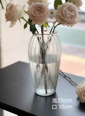 大号复古玻璃花瓶客厅摆件插花简约透明水养富贵竹鲜花专用水培瓶