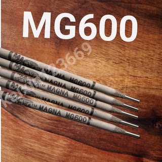 WE600异种钢合金钢焊条2.5/3.2/4.0mm电焊条现货包邮