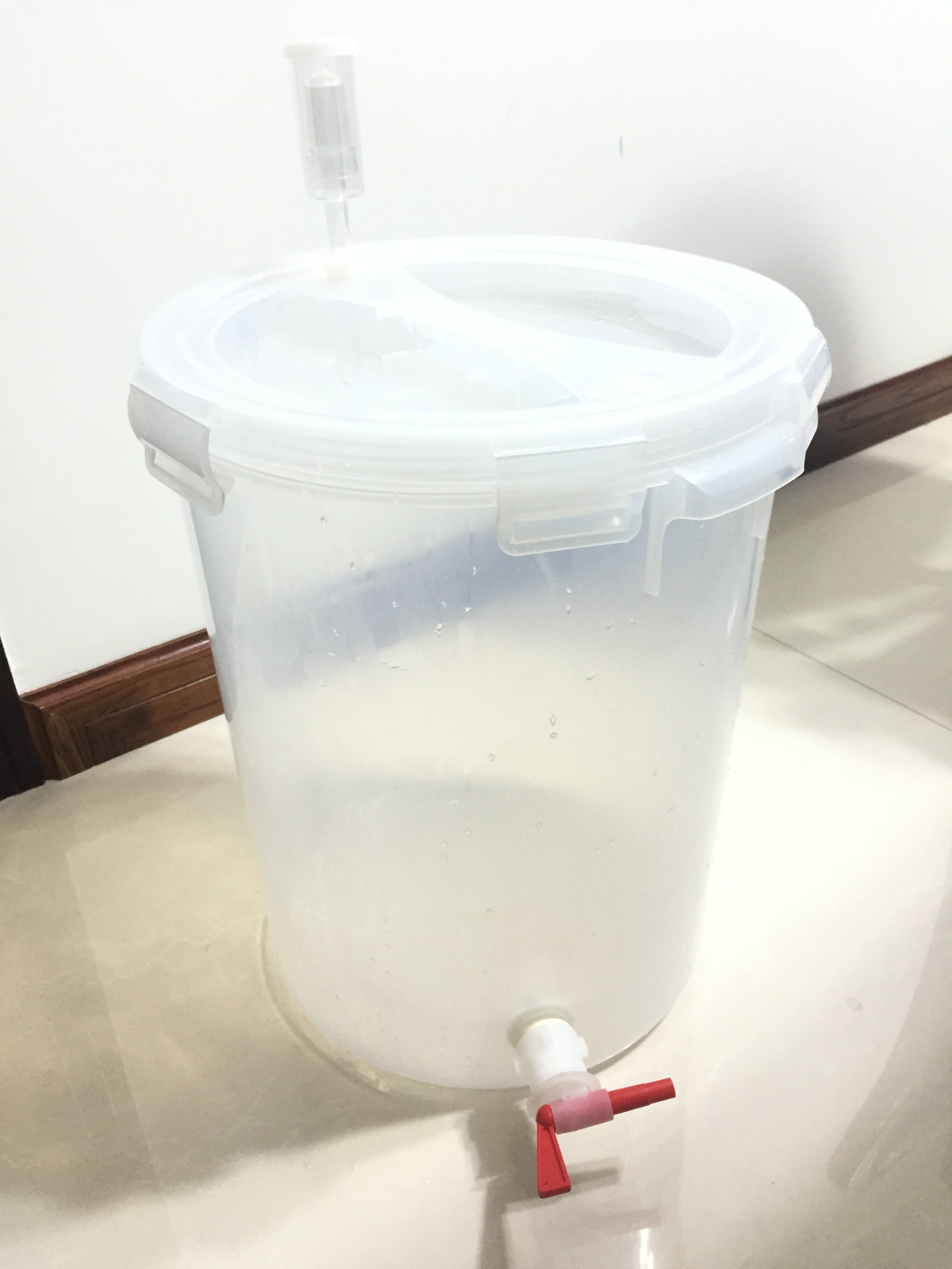 自酿啤酒酵素桶 美式酵素桶发酵桶葡萄酒啤酒容器28l食品级