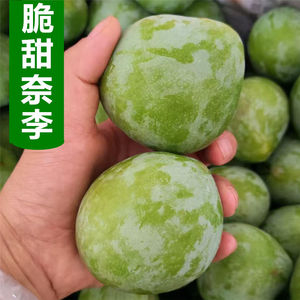 湖南怀化脱骨奈李新鲜水果5斤当季现摘油奈空心青奈桃形李大李子