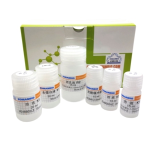 快速质粒DNA小量提取试剂盒 8分钟快提多至40μg质粒