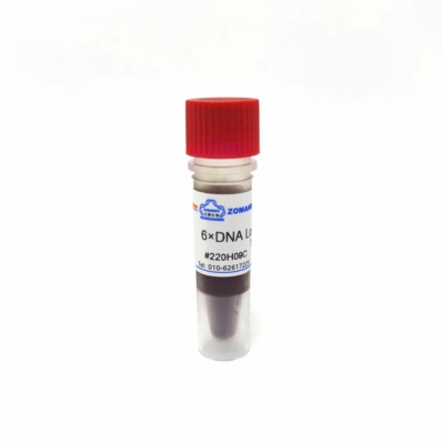 DNA上样缓冲液(6×) DNA凝胶加样缓冲液 6× DNA Loading Buffer