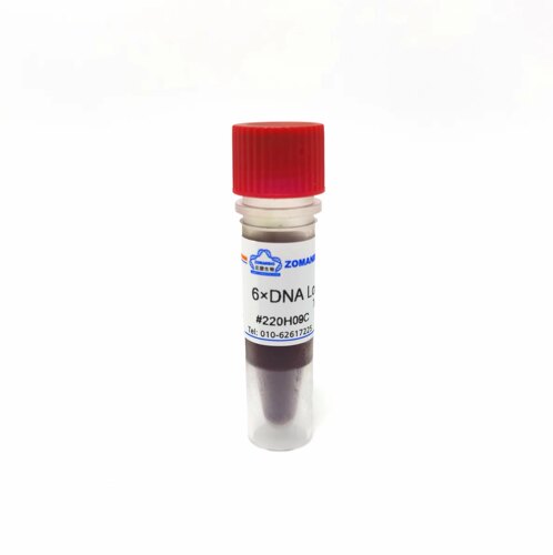 DNA上样缓冲液(6×) DNA凝胶加样缓冲液 6× DNA Loading Buffer