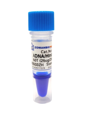 λDNA/HindⅢ DNA Marker DNA Ladder