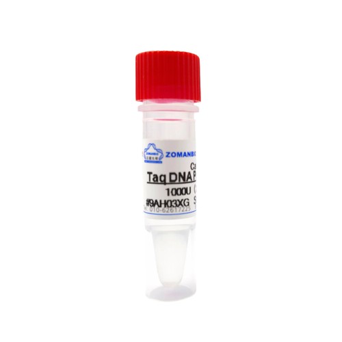 Taq DNA Polymerase(2.5u/ul) Taq DNA酶 聚合酶