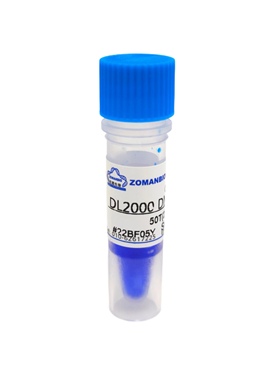 DL2000 Plus DL5000 DNA Marker DNA Ladder