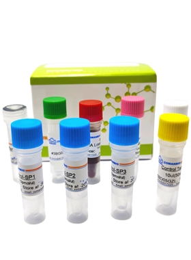 CCK试剂盒 Cell Counting Kit CCK8 WB免疫组化实验