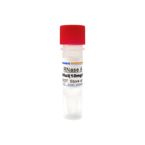 RNase A RNaseA 10mg/ml 100mg/ml 核糖核酸酶A溶液 质粒提取