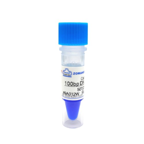 100bp DNA Ladder DNA Marker