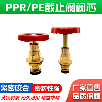 纯铜阀芯4分精品黄铜PE阀芯