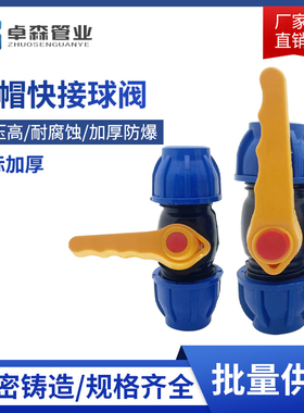 PE快速接头PE蓝帽精品快速直接弯头三通202532免热熔蓝帽快接