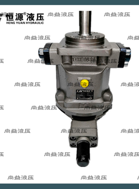 江苏恒源津达柱塞泵 HY10/16/18/25/28/32/40/45/55/63 MY-RP/LP