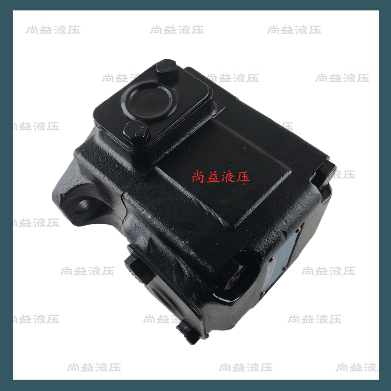 原装美国DENISON丹尼逊T67CBW022B062R01A1M1N0P系列叶片泵