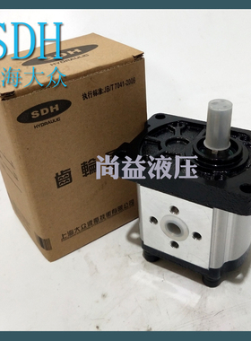 SDH上海大众齿轮泵油泵CBTt-F304306 310 314 316 320 325  F3B2L