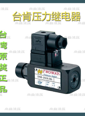 TWOWAY台湾台肯压力继电器DNB-250K-06I DNB-150K-22B 040K070K