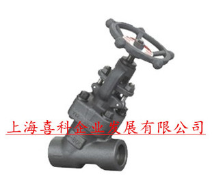 J65Y-800LB Y型截止阀 焊接黑体截止阀 锻钢截止阀DN152025324050