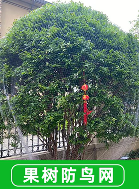 果树防鸟网尼龙加厚果园樱桃蓝莓葡萄专用 抗老化防紫外线耐用5年