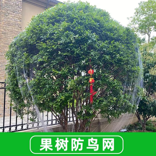 果树防鸟网尼龙加厚果园樱桃蓝莓葡萄专用 抗老化防紫外线耐用5年