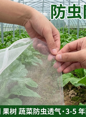 大棚防虫网蔬菜果园加厚防虫纱网耐晒养殖场专用防果蝇粉虱