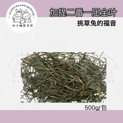 23年新批次加提美提二番一压500g 加拿大进口提摩西草 多叶带杆