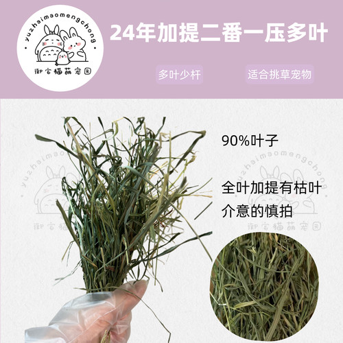新批次加提美提一番二番一压500g 加拿大进口提摩西草 多叶带杆