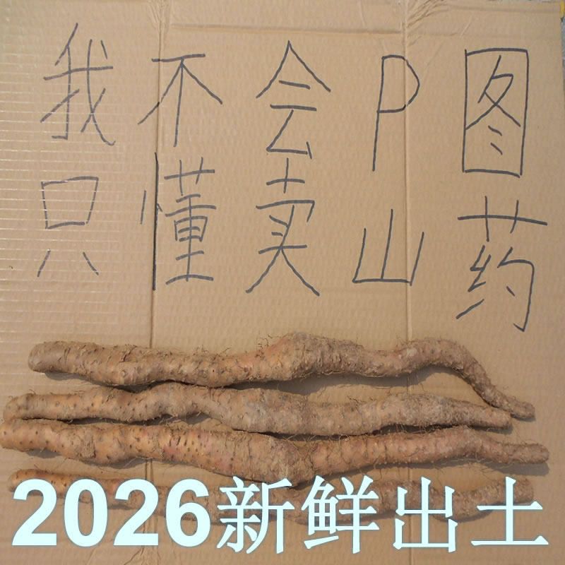 正宗河南焦作温县垆土铁杆淮山药铁桂怀山药铁棍山药新鲜5斤特产