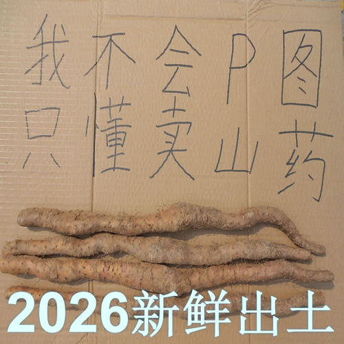 正宗河南焦作温县垆土铁棍怀山药