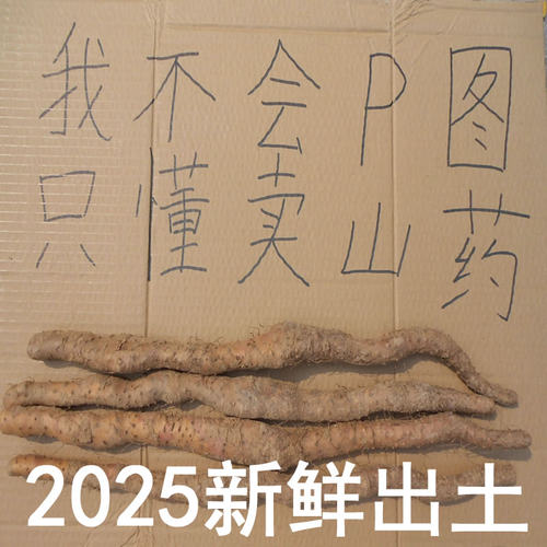正宗河南焦作温县垆土铁棍怀山药
