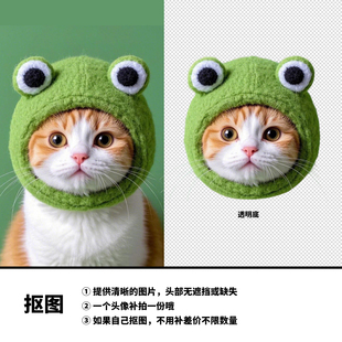 抠图专拍  宝宝宠物照片1个头像拍1份 （不可退换 感谢理解）