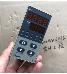 YUDIAN宇电AI80814L1S4