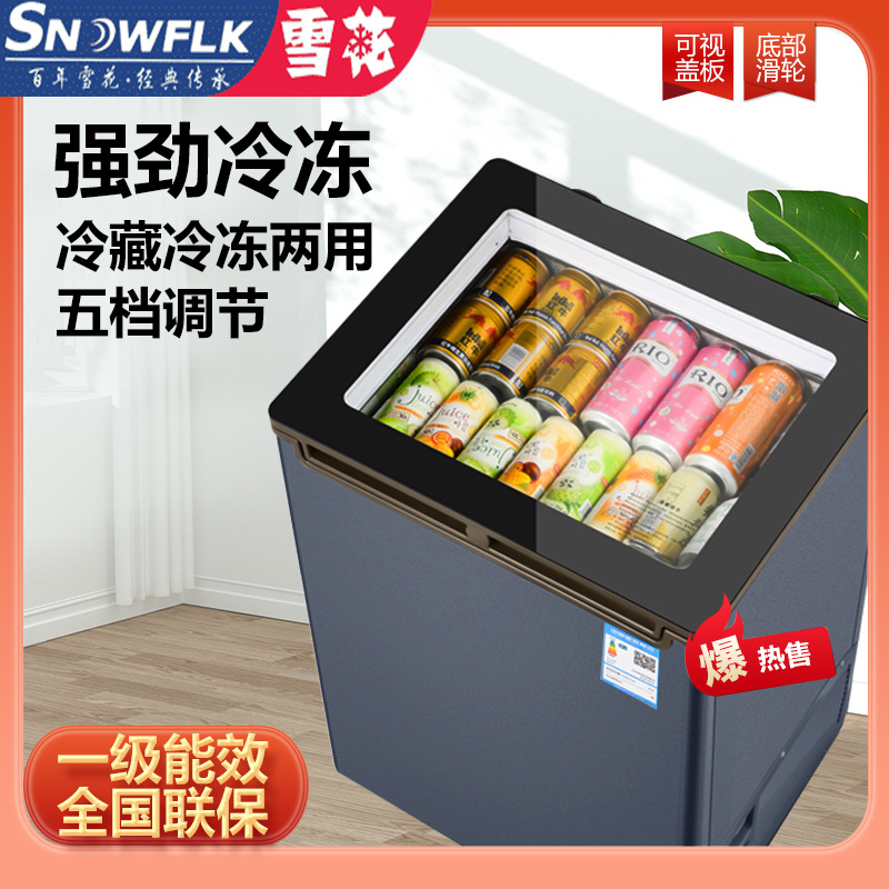 新款一级节能小冰柜冷藏柜可移动
