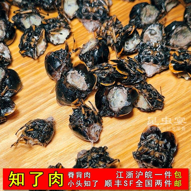 新鲜现摘速冻黑知了肉特产炒知了冷冻小头脊背肉去头去尾食用黑蝉