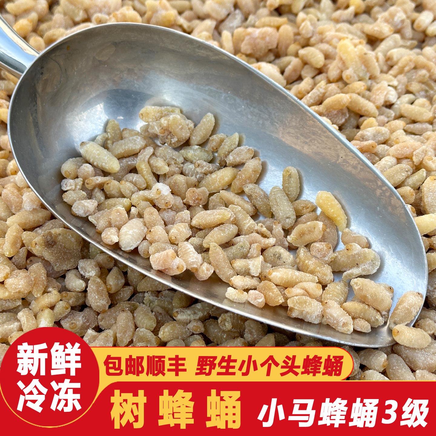 云南3级树蜂蛹野生冷冻小马蜂葫芦峰蜂仁去肠速冻1件全国顺丰包邮