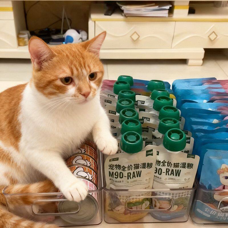 宠物用品桌面收纳盒猫粮罐头湿粮储存盒狗粮整理盒长方形便携透明