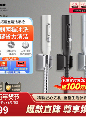 科勒思拓浴室喷枪马桶伴侣增压清洗厕所龙头卫生间清洗喷头29151T