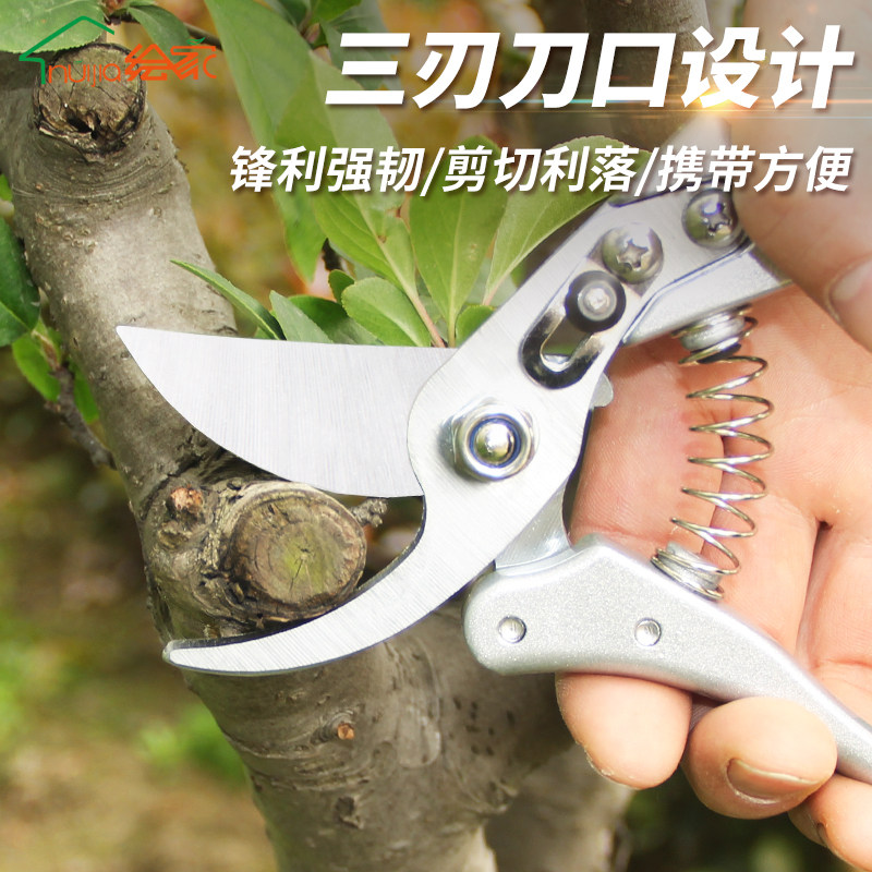 绘家修剪树枝剪刀园林园艺工具多功能家用粗枝果树植物修枝修花剪 - 小编推荐 - WePost 全民代运 - 马来西亚中国淘宝代运与集运专家