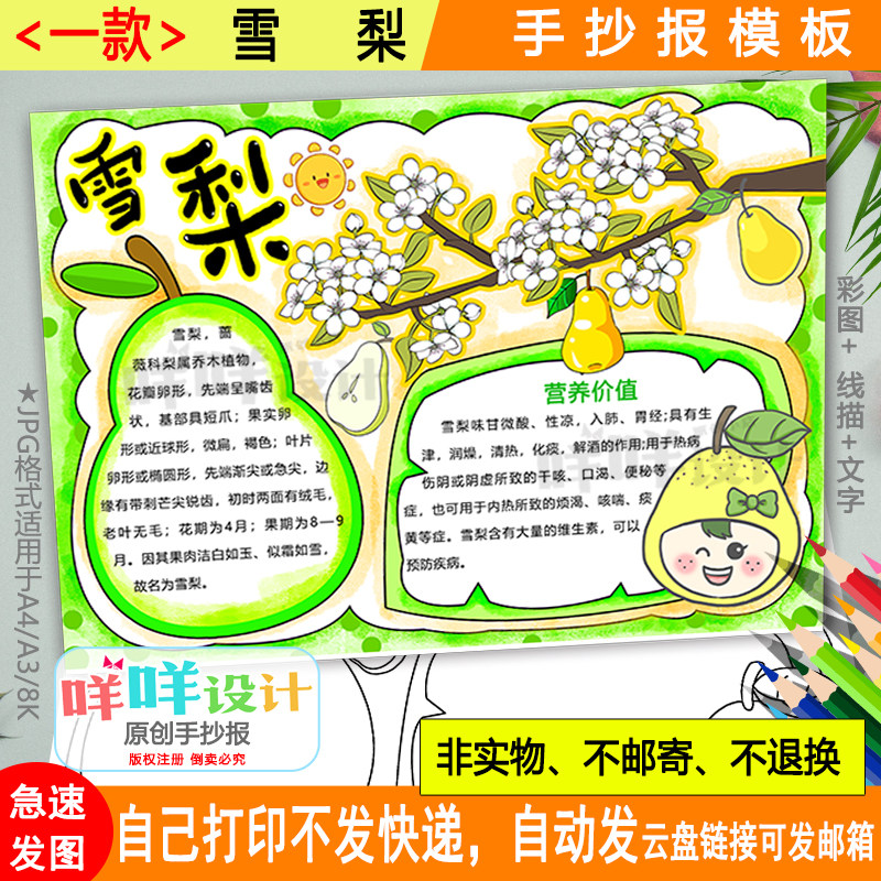 雪梨观察日记手抄报涂色描线空白a4a38k水果自然笔记卡片小报模板