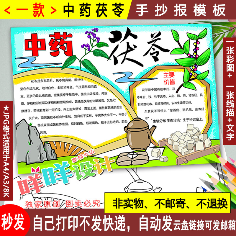 神奇中草药弘扬中医文化黑白线描涂色空白中药植物茯苓手抄报模板