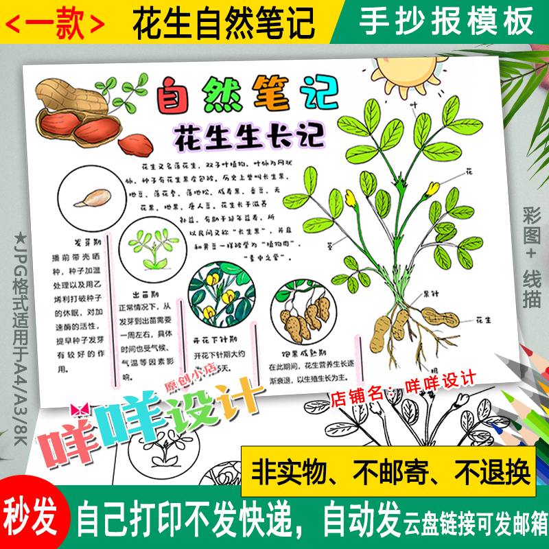 植物手抄报 答案图片