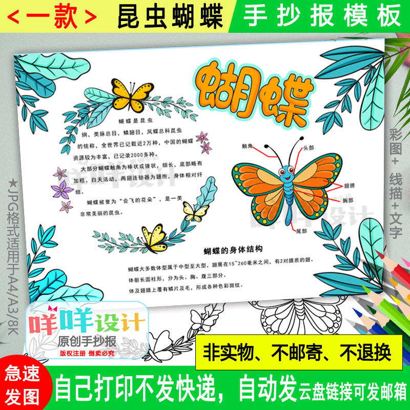 蝴蝶自然笔记手抄报黑白线描涂色空白昆虫名片观察日记小报模板