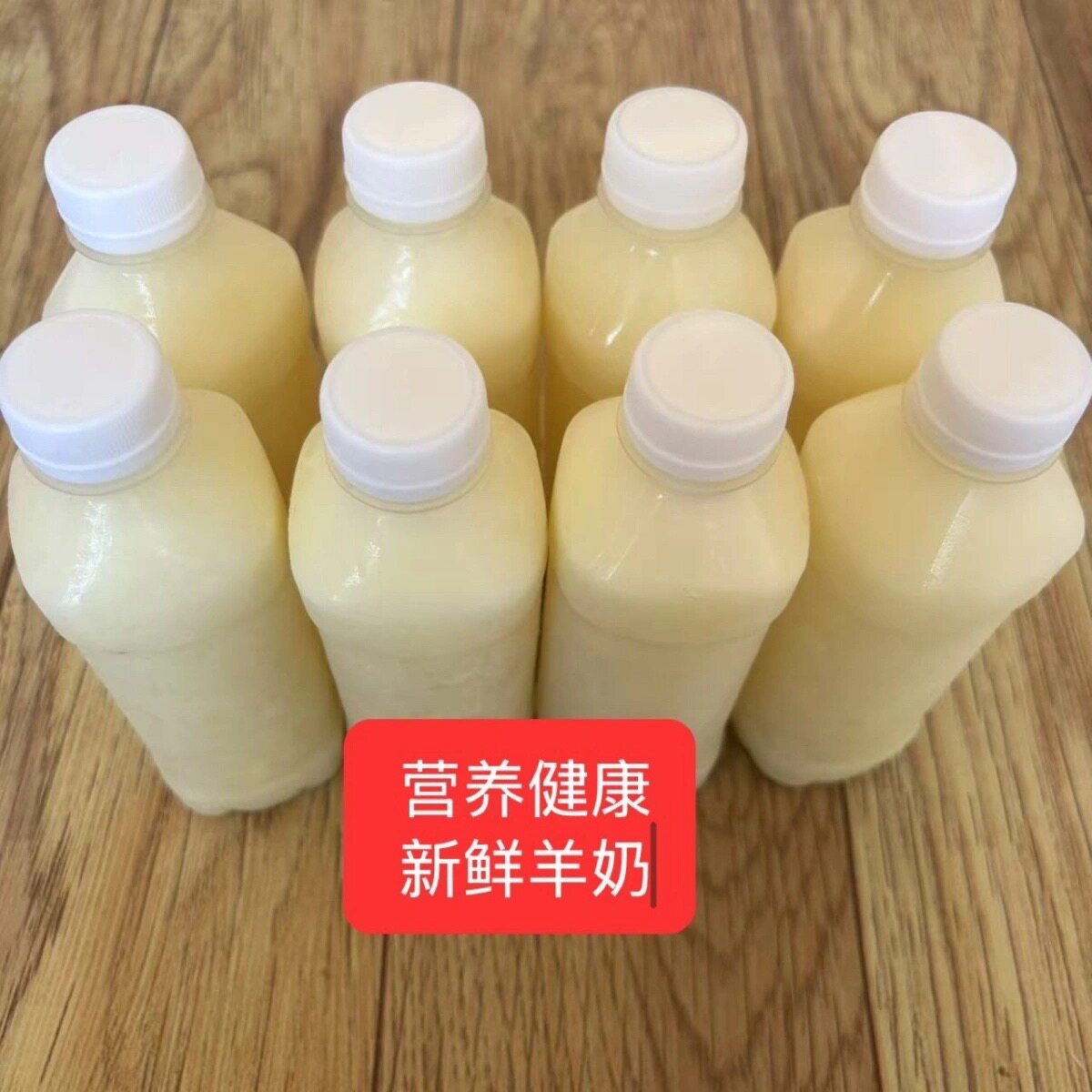 巴氏杀菌鲜羊奶纯羊奶冷冻后发货低温奶